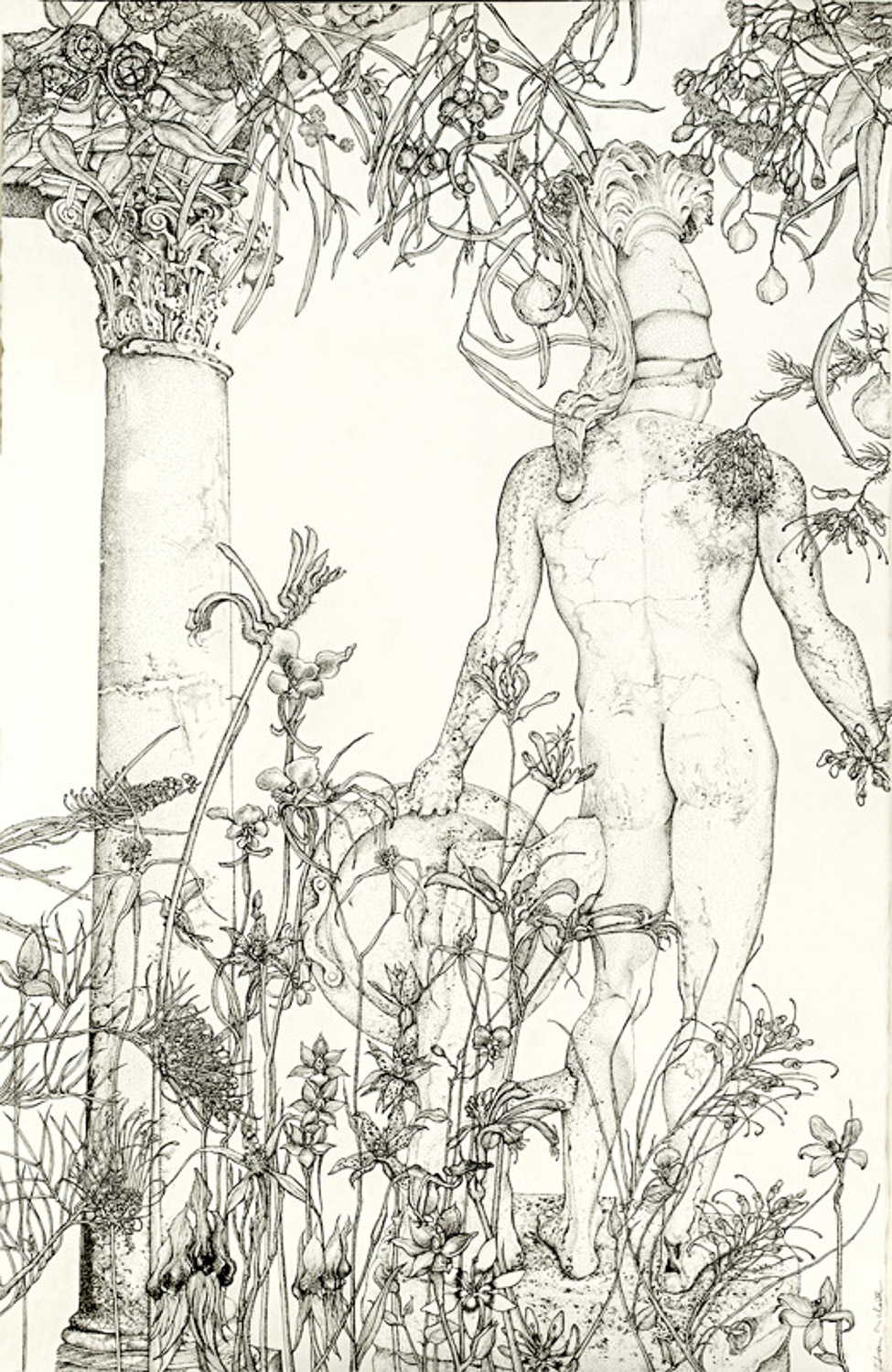 975x1500 The Kedumba Collection Of Australian Drawings