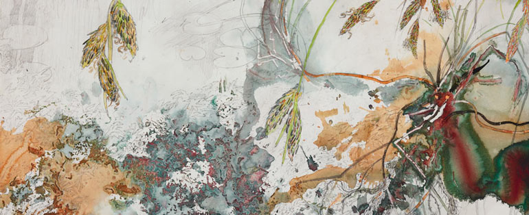 770x314 Drawing Out Art Gallery Nsw