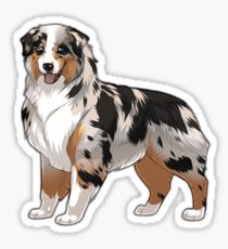 210x230 Australian Shepherd Drawing Stickers Redbubble