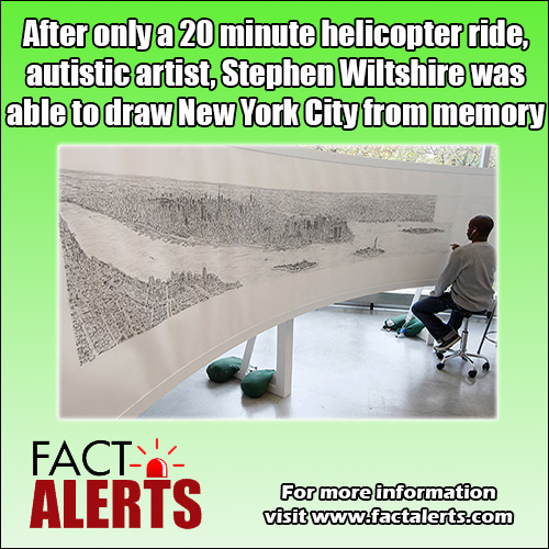 500x500 Autistic Artist Draws New York City