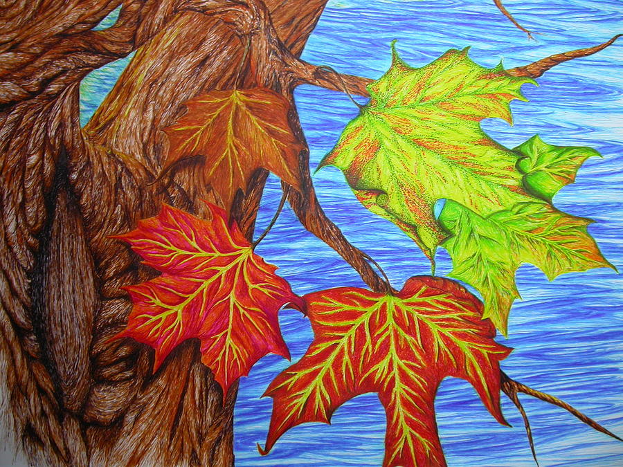 900x675 Autumn Majik Drawing By Carol Frances Arthur