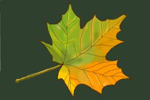300x200 How To Draw Autumn Leaves