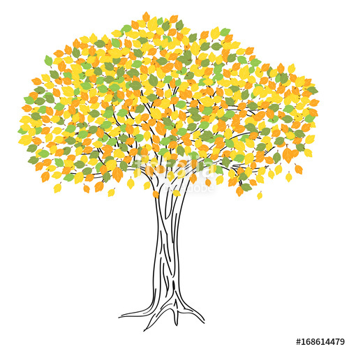 500x500 Autumn Tree Drawing With Colorful Leaves Stock Image And Royalty