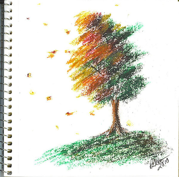 600x594 Romance Bandits Blog Archive Remembering Trees Amy Ink