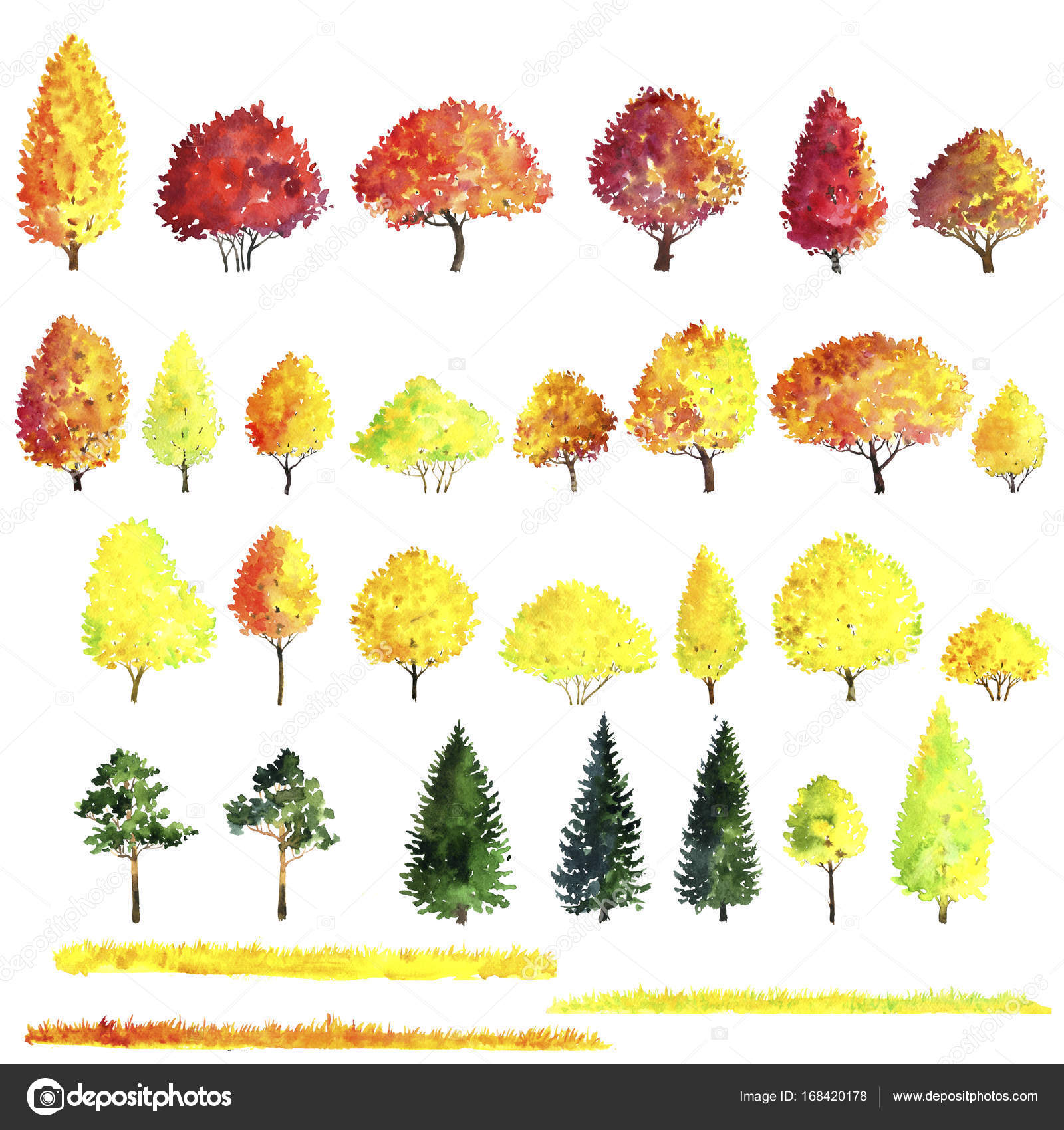 1600x1700 Set Of Autumn Trees Drawing By Watercolor Stock Photo