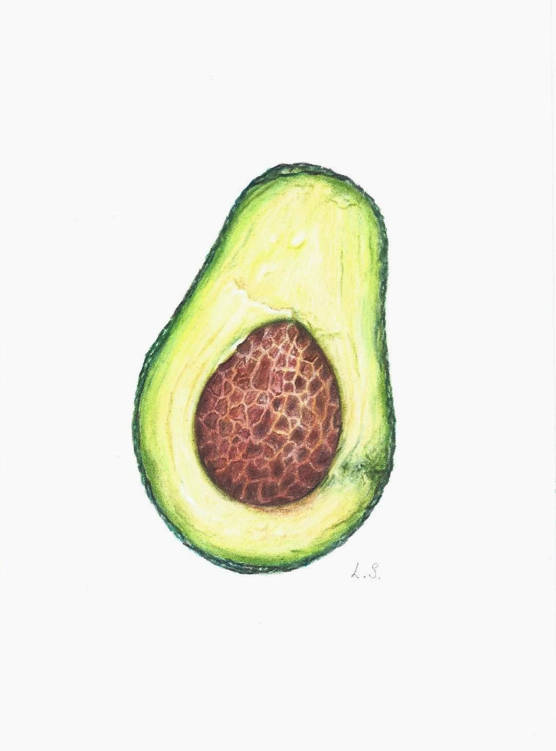 1093x1475 Avocado Colored Pencils Drawing Original Painting Fruit Art