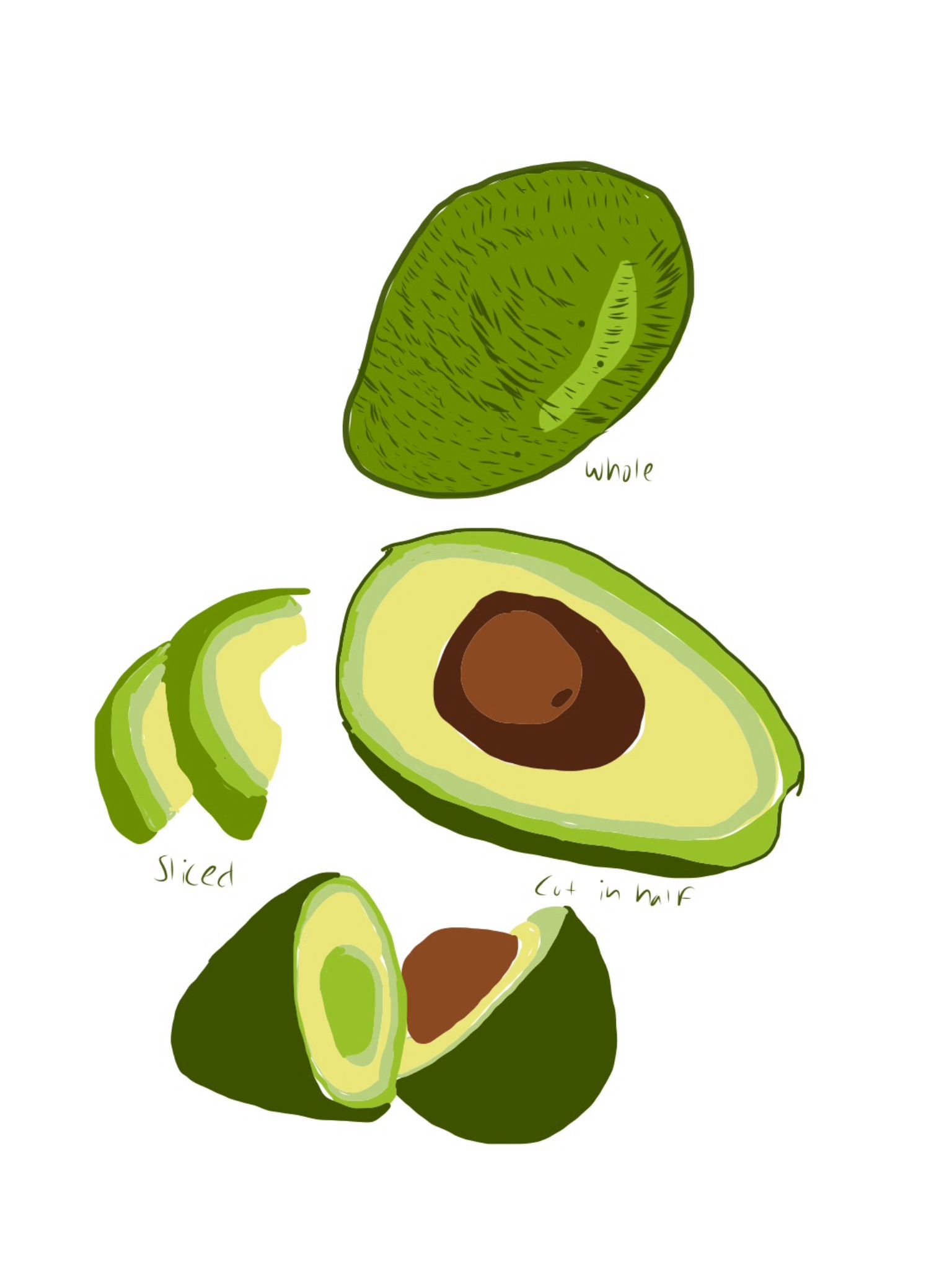 1536x2048 Avocado Drawing My Artwork Artwork