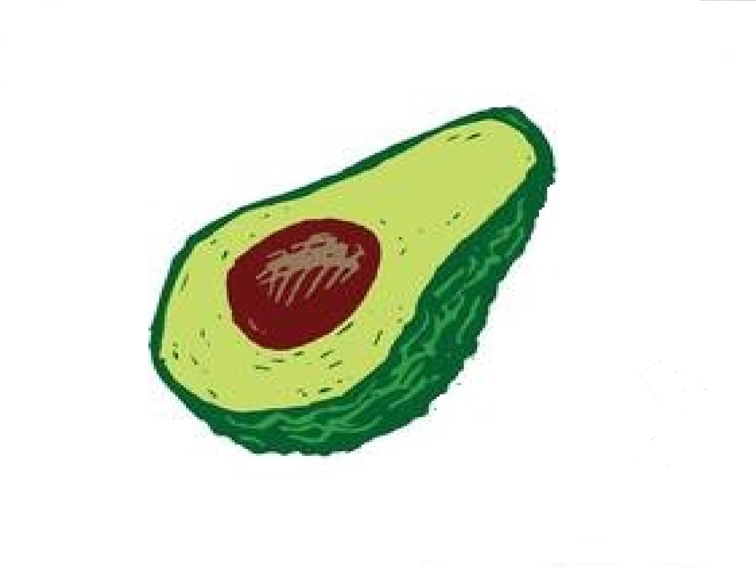 2592x1944 How To Draw An Avocado