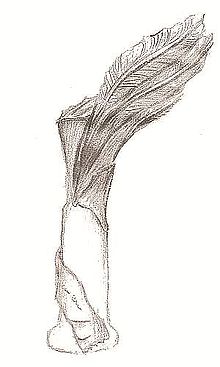 220x367 Polish Film Awards