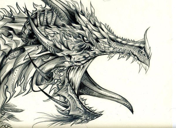 600x436 10 Cool Dragon Drawings For Inspiration,