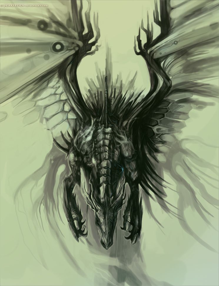 744x972 20 Awesome Dragon Drawings Dragons, Perspective And Draw