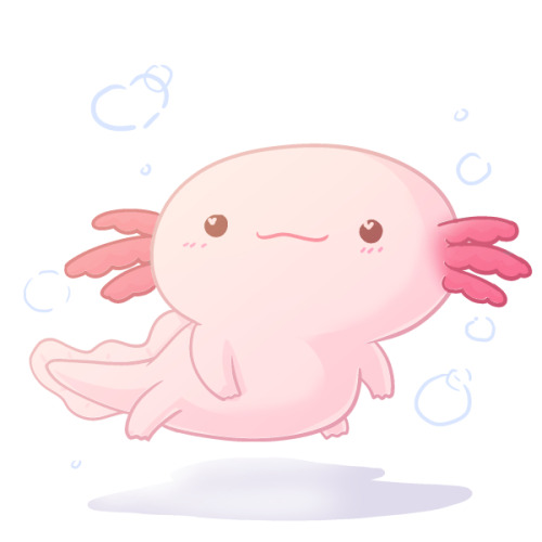 Axolotl Drawing at GetDrawings | Free download