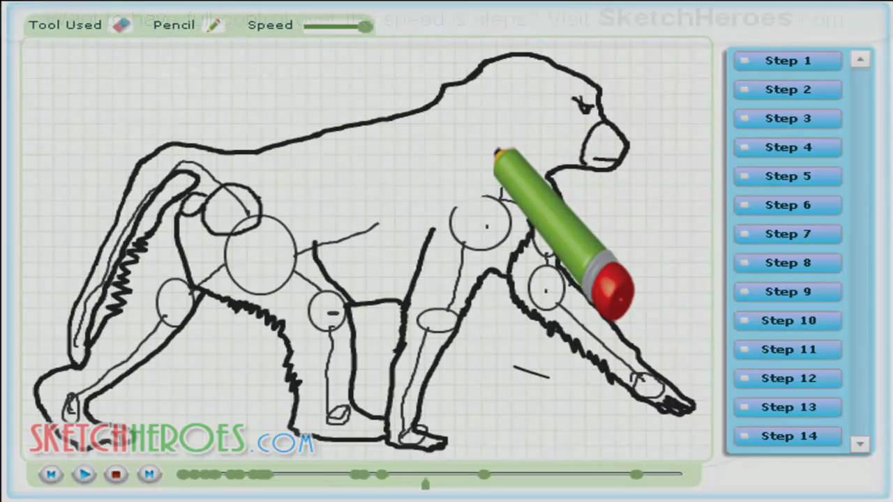1280x720 How To Draw Baboon (Monkey)
