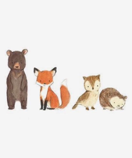 545x650 Pin By Jessica Harper On Art Drawings, Foxes And Animal
