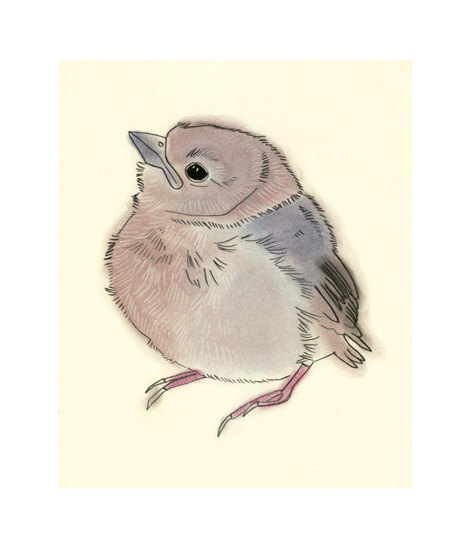 472x551 Baby Bird Art Illustration Drawing Little Fledgling