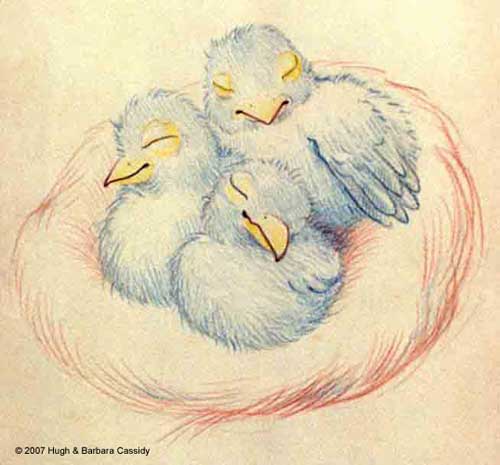 500x465 Eva Cassidy Artwork Baby Birds In A Nest Sketch
