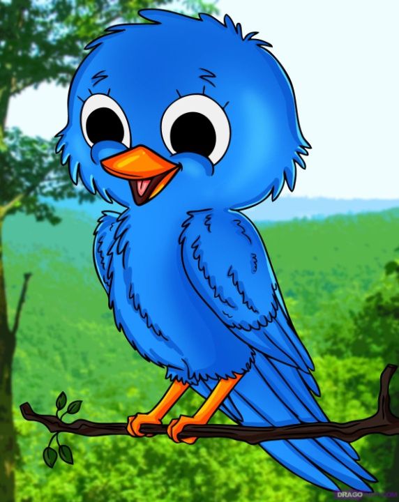 572x720 How To Draw Realistic Birds Drawing Lessons Rock Painting