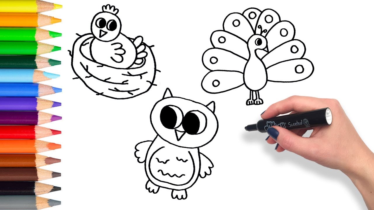 Baby Birds Drawing at GetDrawings | Free download