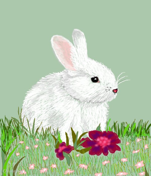600x700 Baby Bunny An Animals Speedpaint Drawing By Kutedymples