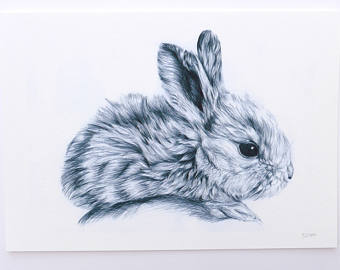 340x270 Bunny Drawing Etsy