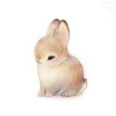 236x236 Cute Drawing Of A Bunny