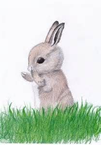 209x300 Baby Rabbit Art