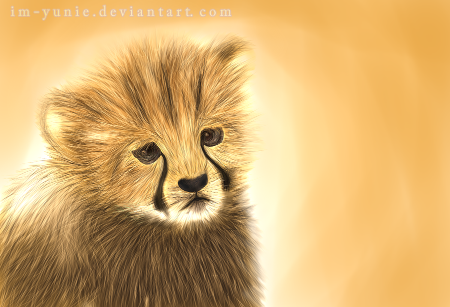 900x615 Baby Cheetah By Im Yunie