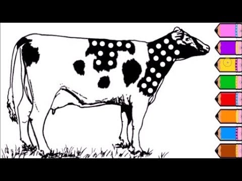 480x360 Cow Coloring Pages