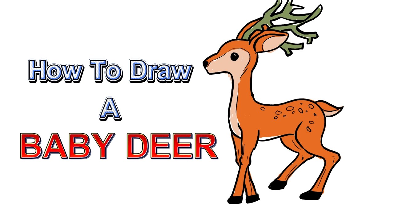 1280x720 How To Draw A Baby Deer And Coloring