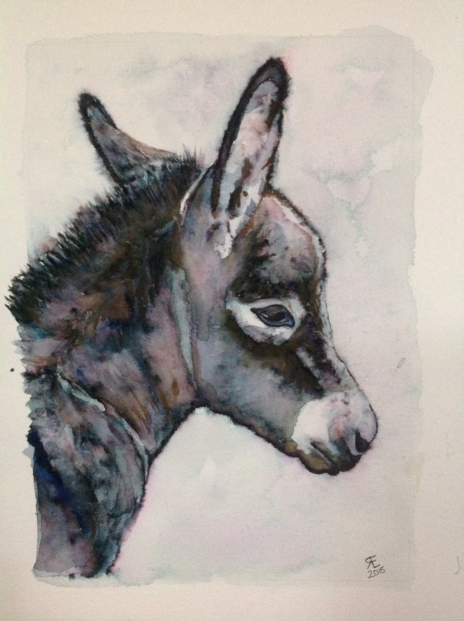 1536x2056 Blue Moon Watercolour Baby Donkey Rebeccaevans Create