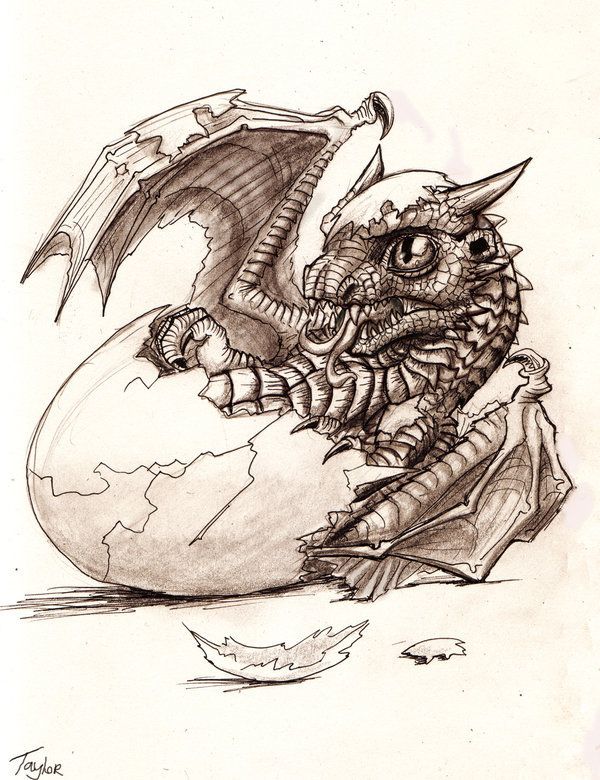 600x780 Images of baby dragons hatching Baby Dragon Hatching. .