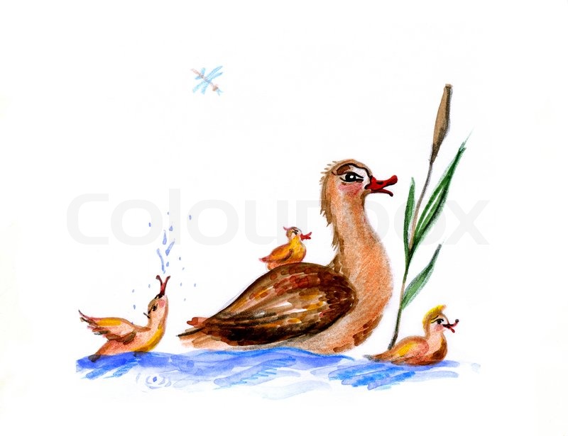 800x615 Baby Drawing Of The Duck On White Background Stock Photo Colourbox