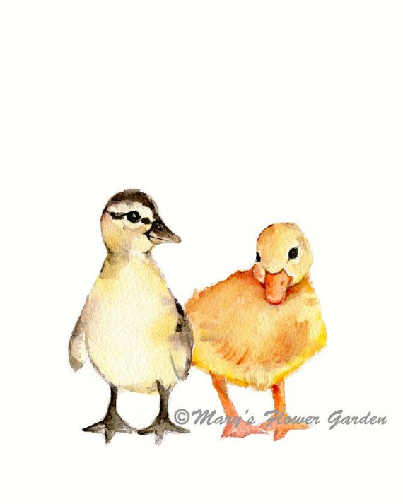 570x713 Two Ducklings Watercolor Nursery Print 8 X 10 Por