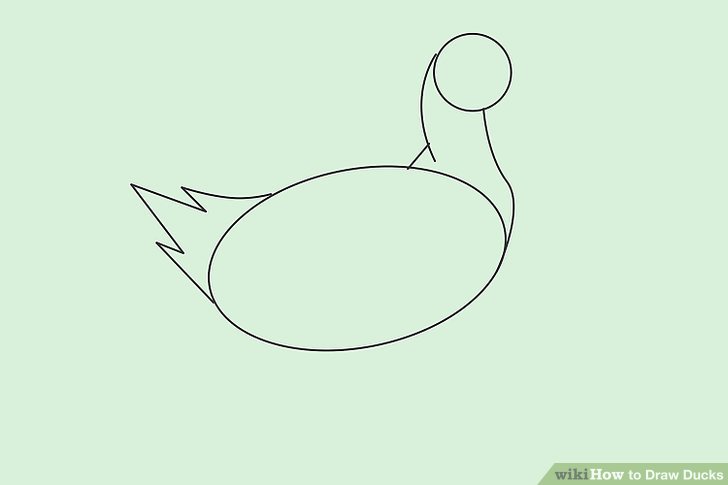 728x485 How To Draw Ducks (With Pictures)