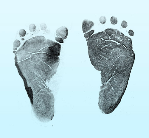 500x463 Certascan Technologies