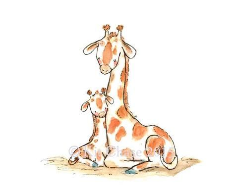 480x384 1832 Best Baby Giraffe Images On Baby Giraffes