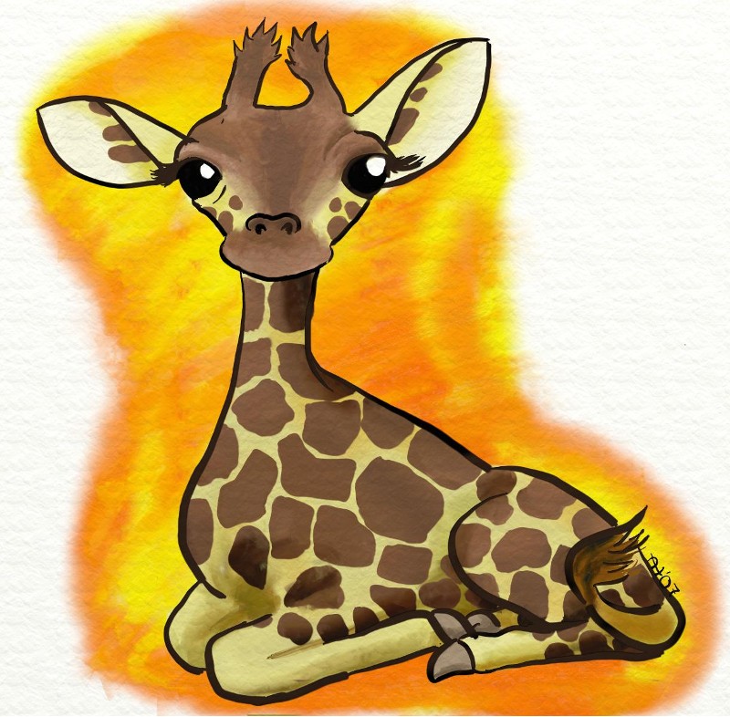 800x786 Giraffe Baby By Arihoma