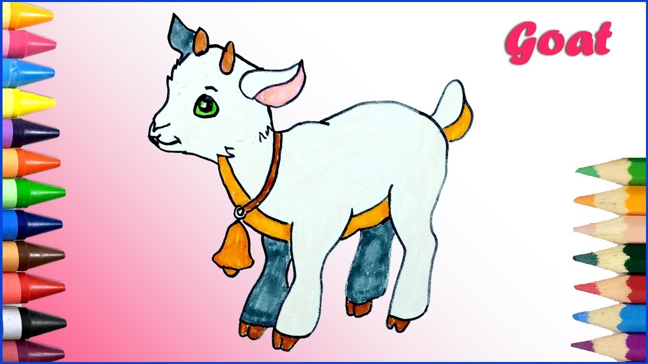 1280x720 How To Draw And Coloring A Baby Goat For Kids Learn Colors