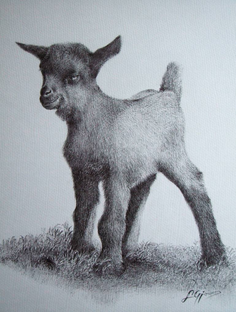 770x1018 Saatchi Art Baby Goat Drawing By Liman Gjakova