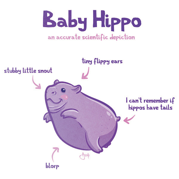 600x600 Accurate Depictions Of Animals Baby Hippo Amanda Chronister