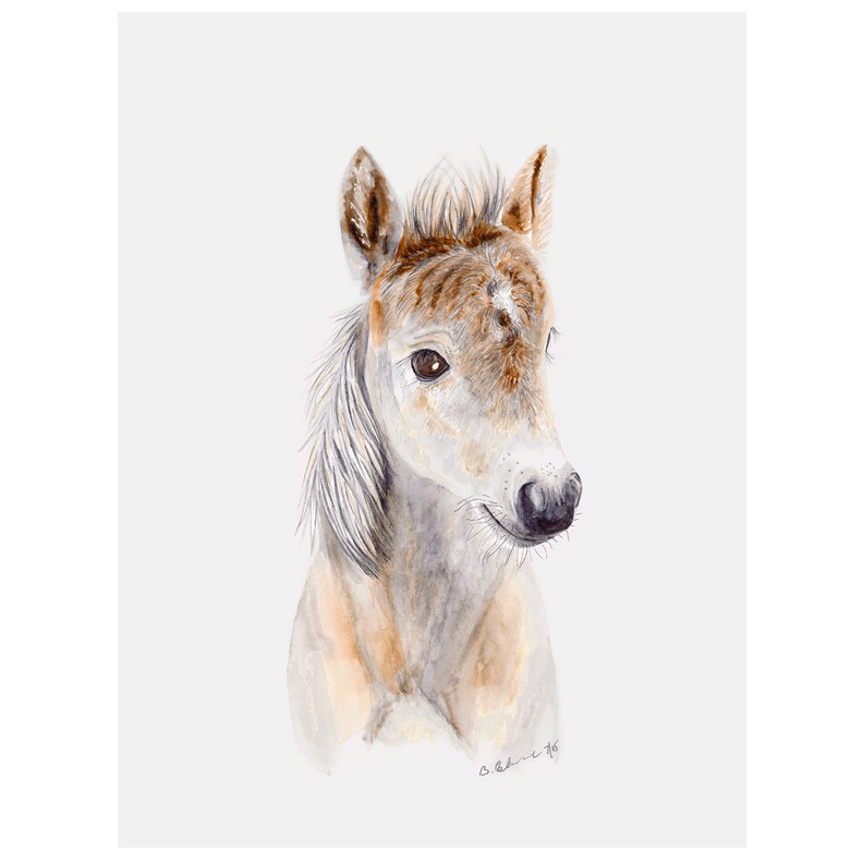792x792 Baby Horse Art Canvas Little Crown Interiors