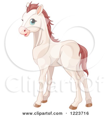 450x470 Cute White Baby Horse With Blue Eyes Posters, Art Prints By