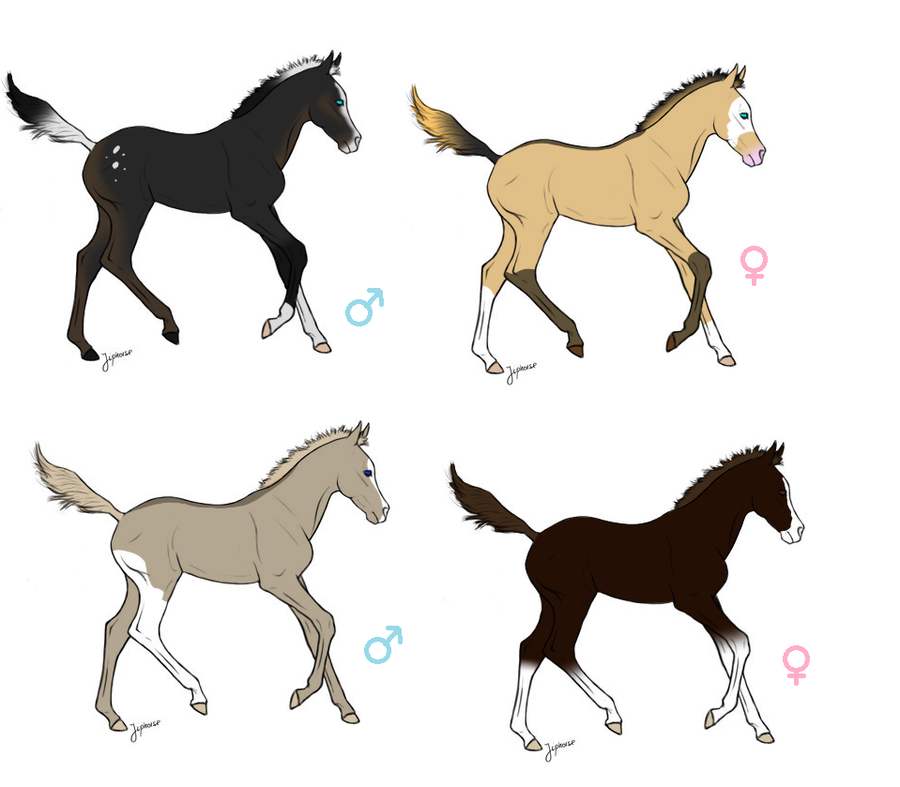 900x787 Foal Adoptables Draw To Adopt  By Kesilegend