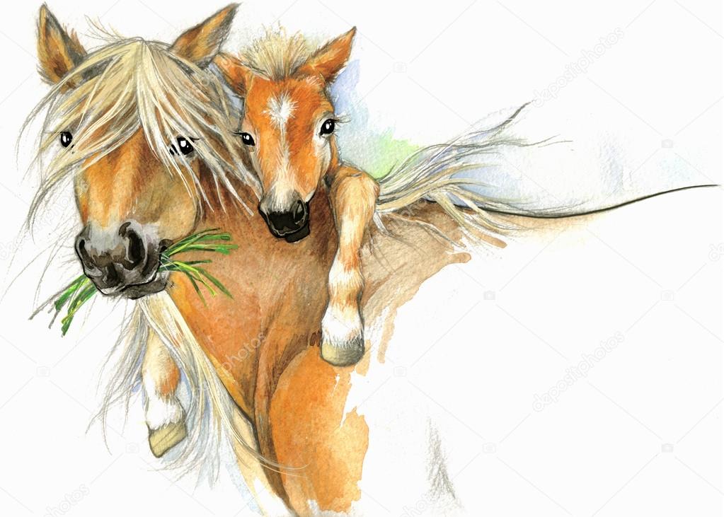 1023x731 Watercolor Horse Mom And Baby Stock Photo Dobrynina Art