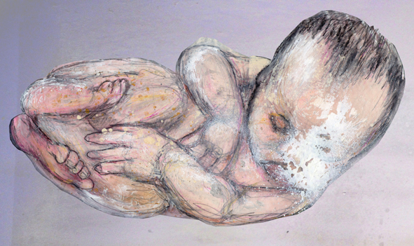 591x351 Gregor Laird