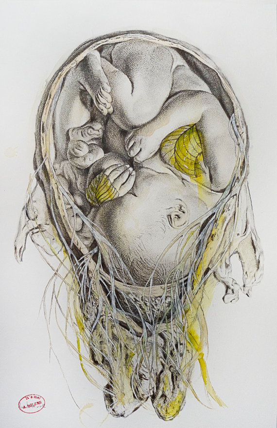 570x882 Limited Edition Fine Art Print , Historic Anatomy Study, Baby