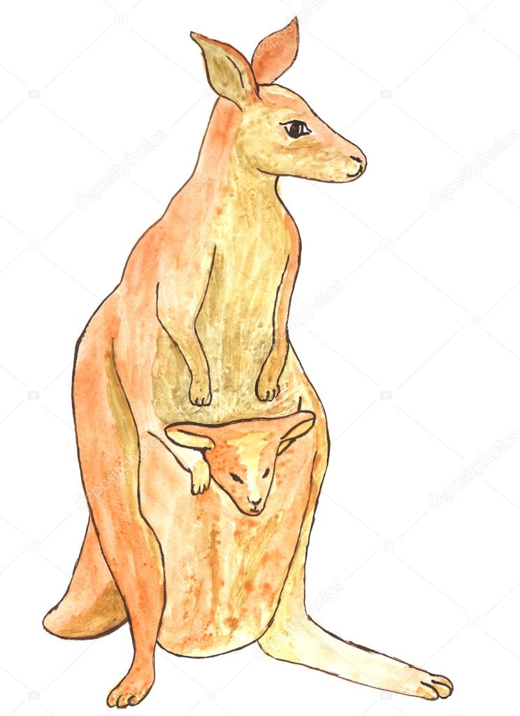 744x1024 Kangaroo Mother Witn Baby In Bag, Drawing Stock Photo Nadyaus