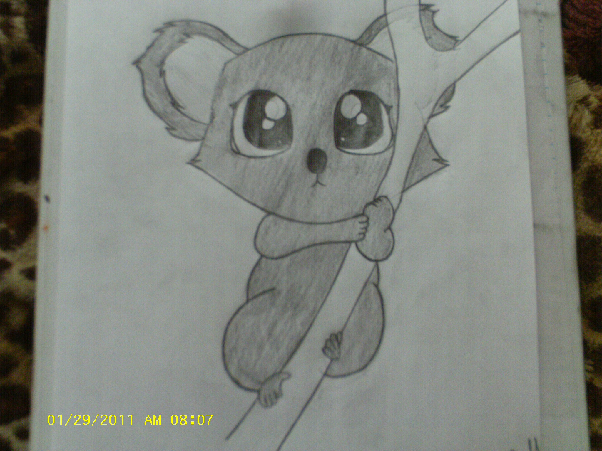 2048x1536 How To Draw A Cute Koala