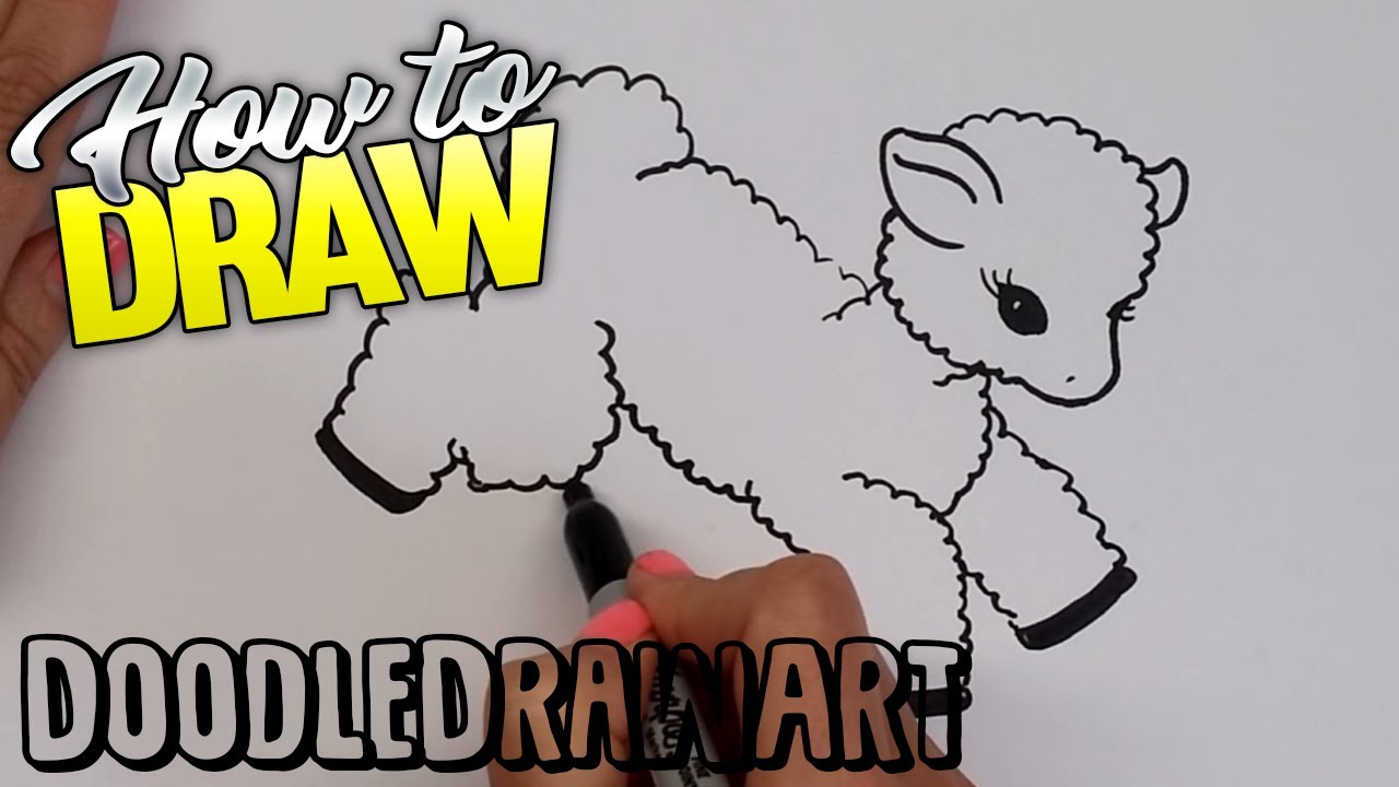 1280x720 How To Draw A Cartoon Baby Lamb Step By Step How To Draw Baby