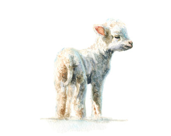 340x270 Lamb Art Etsy